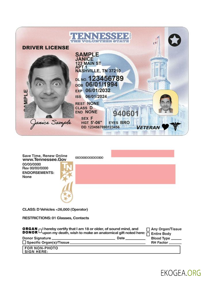 USA Tennessee driving license 2024 present